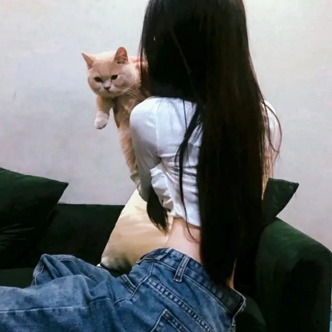 超完美家政妇